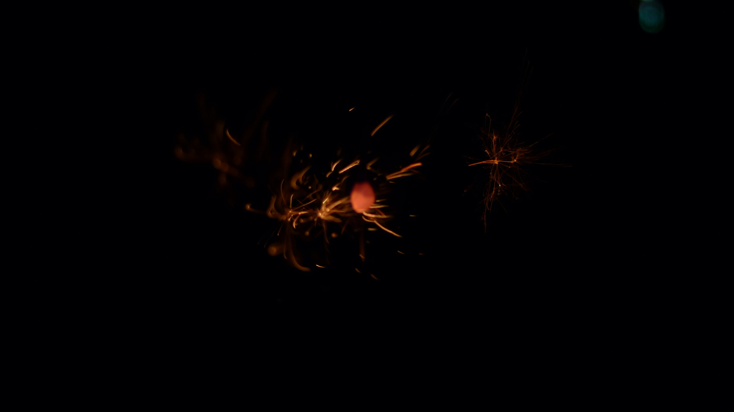 P1320879