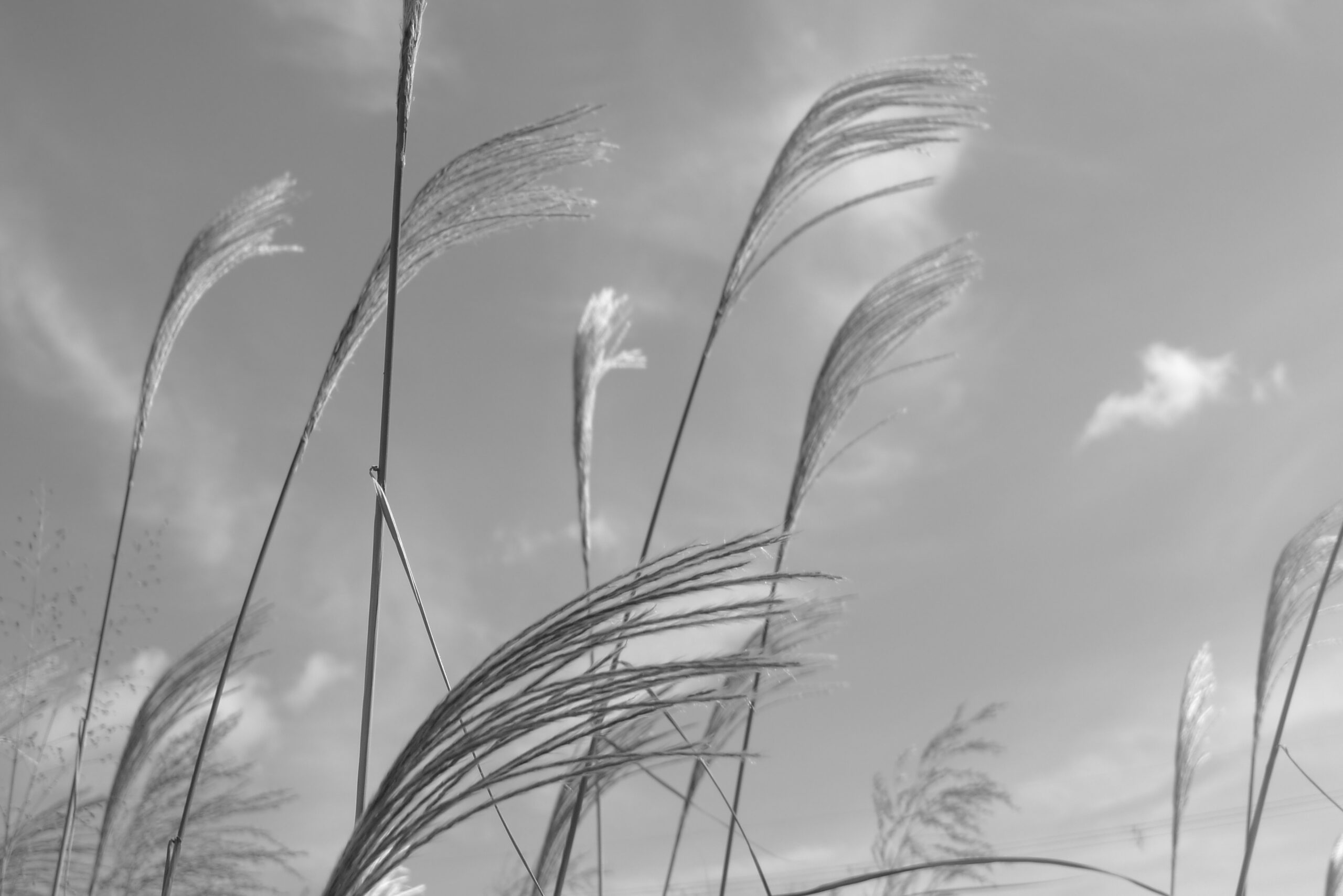 P1340199